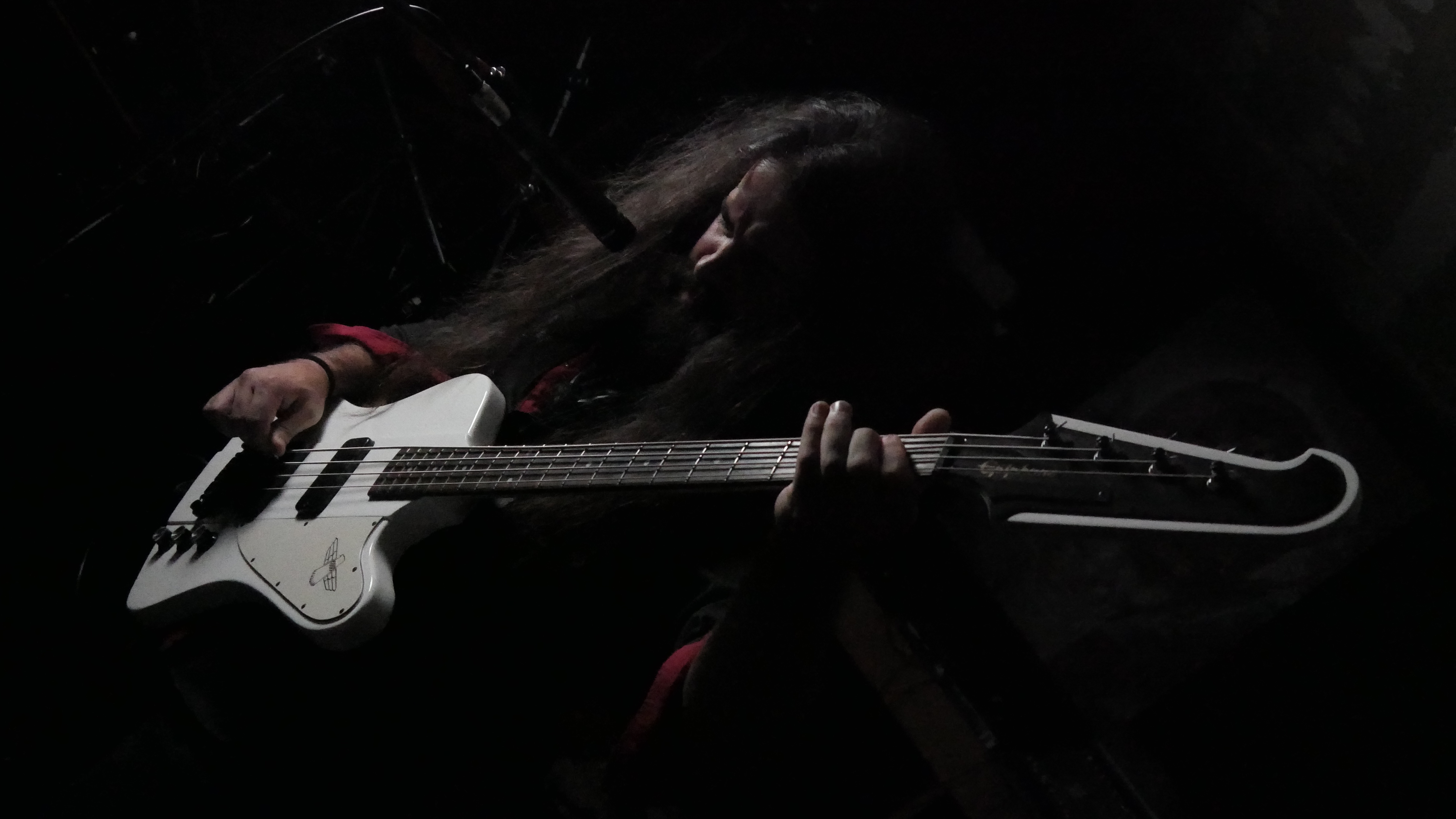 Pussy Gonzales - Bass von Dark Art